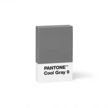 PANTONE Mazací Pryž – Cool Gray 9