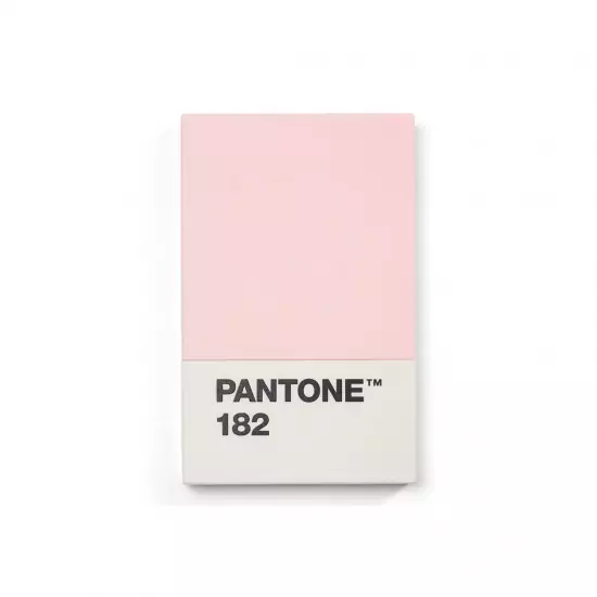 PANTONE Pouzdro na vizitky dárkové balení – Light Pink 182