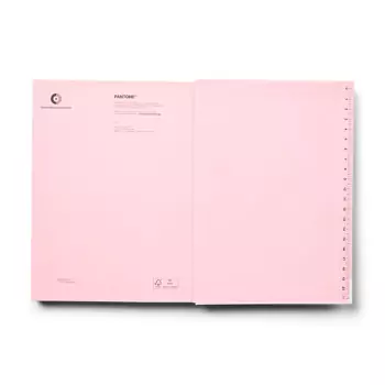 PANTONE Zápisník tečkovaný, vel. L – Light pink 13-2006
