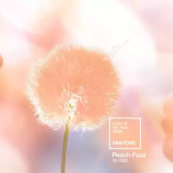 PANTONE Poutko na klíče L – Peach Fuzz 13-1023 (barva roku 2024)
