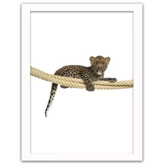 Obraz v rámu – leopard
