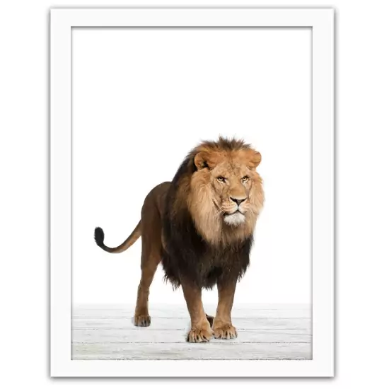 Obraz v rámu – lev