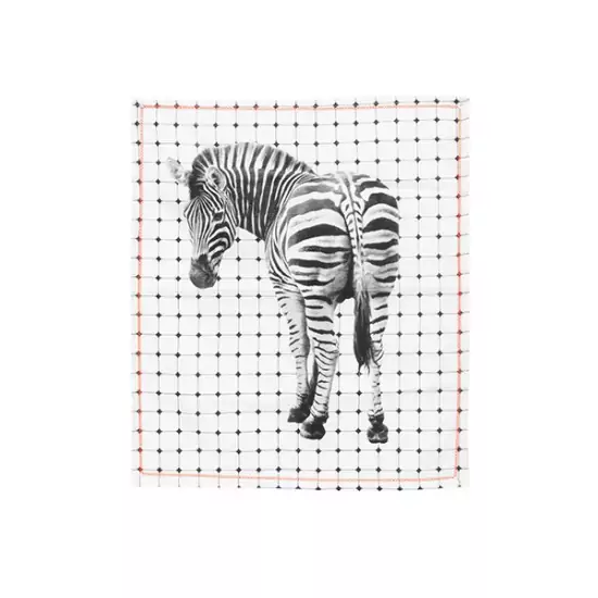 Sada 2 ks − Bavlněná utěrka – zebra