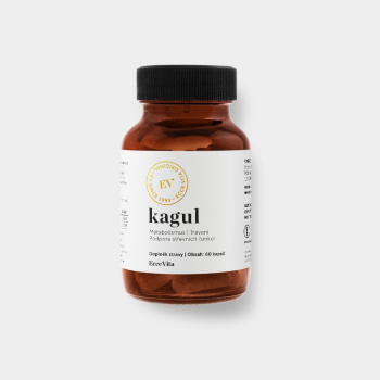 Podpora trávení, metabolismu a detox – Kagul