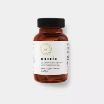 Podpora imunity a metabolismu – Mumio