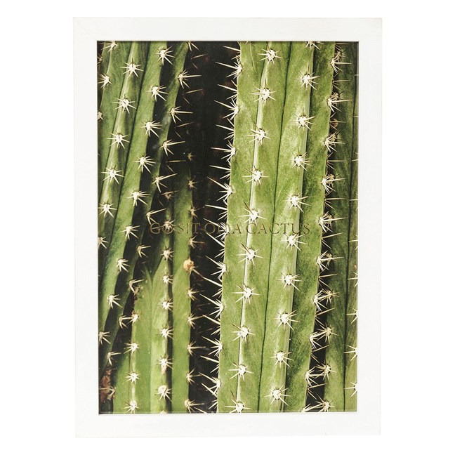 Sada 2 ks – Obraz s rámem Cactus 45×33 cm