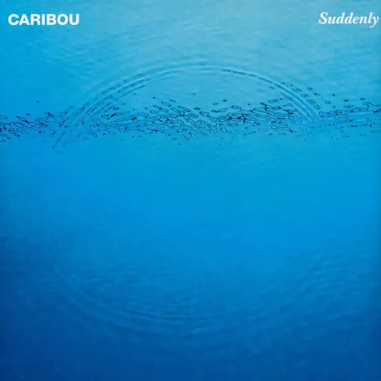 Caribou – Suddenly Vinyl